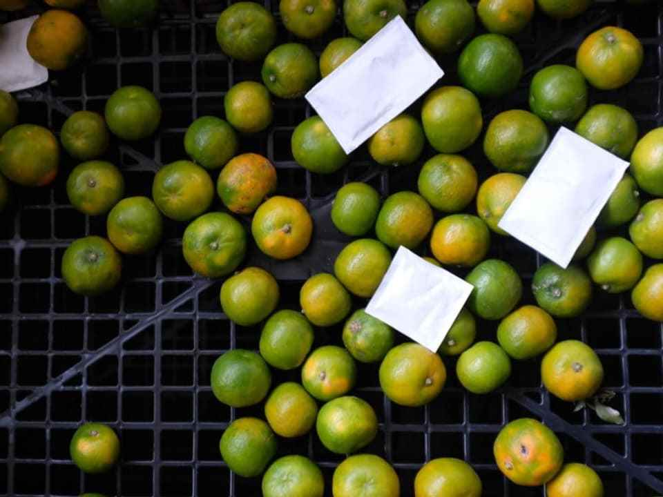 Lots of limes in a box 