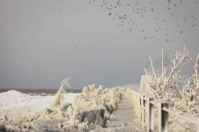 Frozen shoreline on Lake Erie.