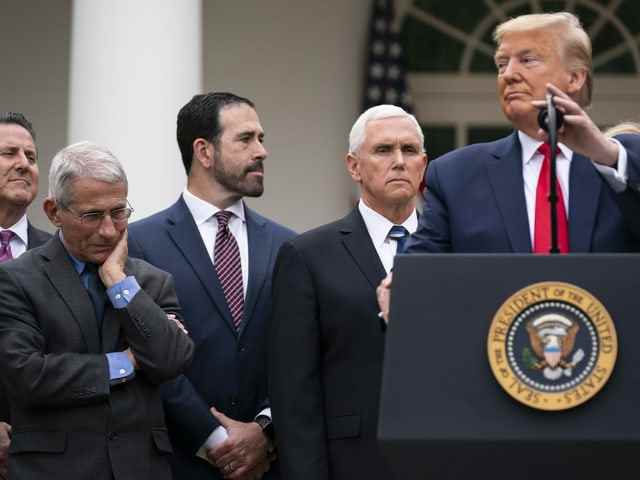 Anthony Fauci (2nd from left), Donald Trump (right) and others in the Rose Garden of the White House