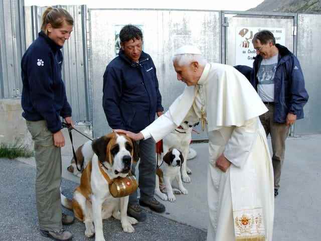 The Pope caresses a St. Bernard. 