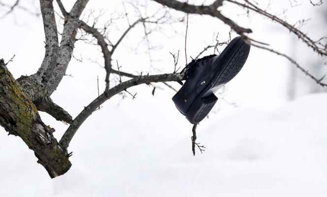 A shoe blown away by the strong winds of the blizzard is found in a tree at the University of Buffalo, New York, on December 27, 2022. 