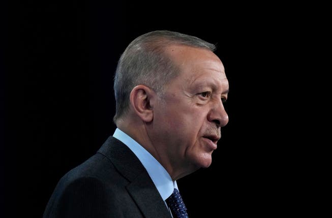 Who will run against Erdogan in next year's presidential elections?
