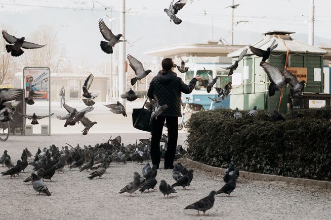 Stadelhoferplatz is a popular place to feed pigeons.  Image taken in March 2022.