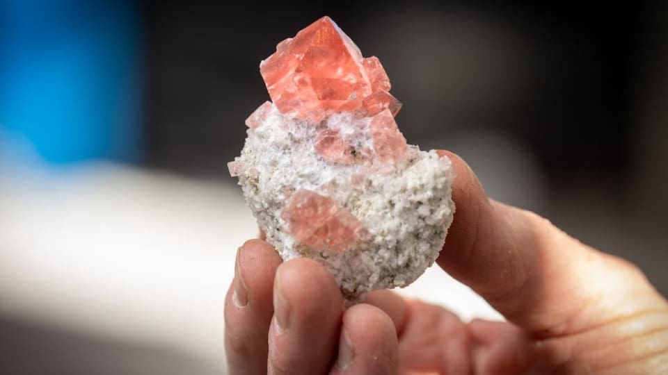 A pink fluorite that was recovered in the tunnel of the second Gotthard tube in autumn.