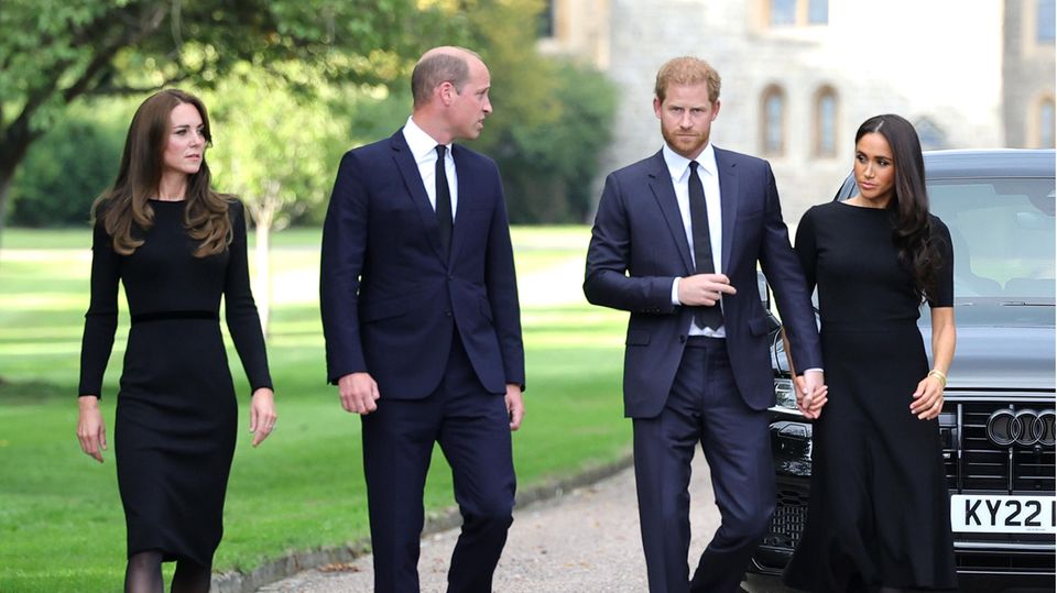Prince Harry, Duchess Meghan and Prince and Princess of Wales