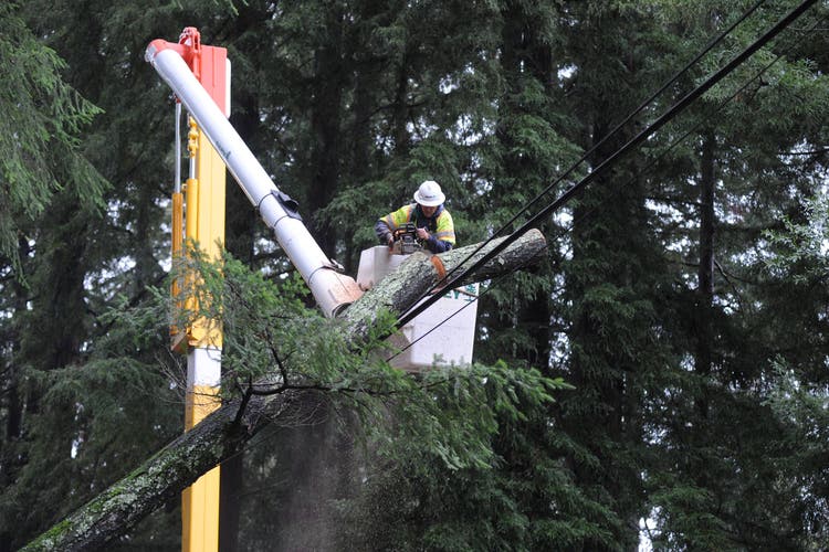 A tree fell on the power line in Scotts Valley due to high winds.  The valley is directly above Silicon Valley, where many tech companies are based.