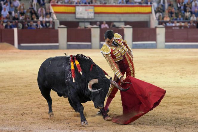 During the Féria de Otoño, at the Las Ventas bullring, in Madrid, on October 8, 2022.