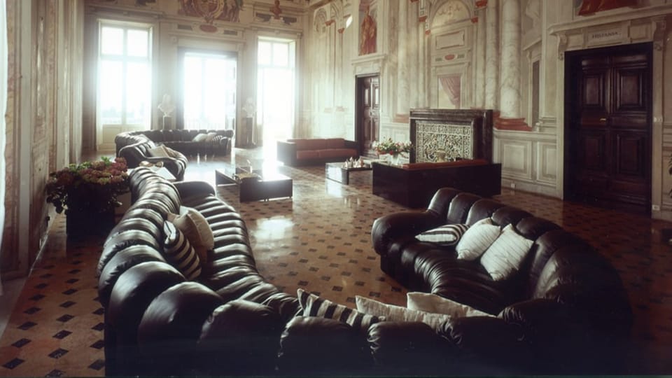 Photo of a luxurious room with a long, sinuous, dark leather sofa