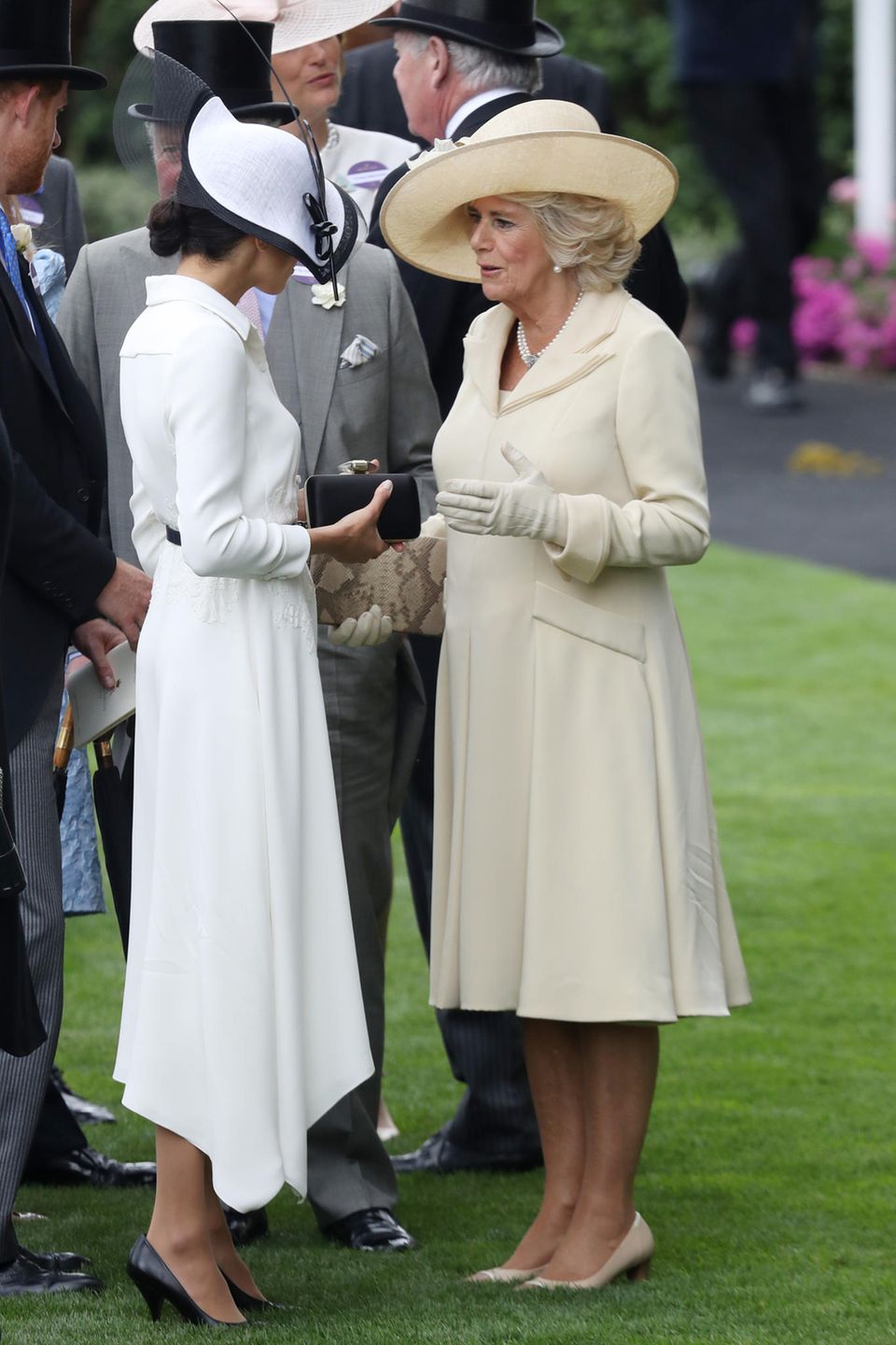 Prince Harry, Duchess Meghan, Queen Camilla