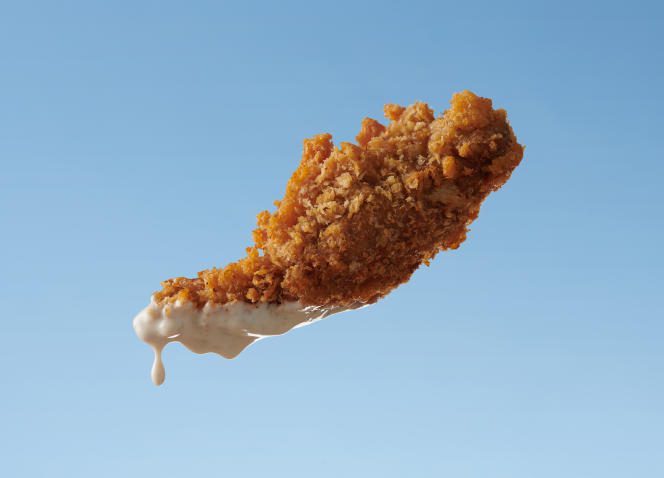 A piece of fried chicken.