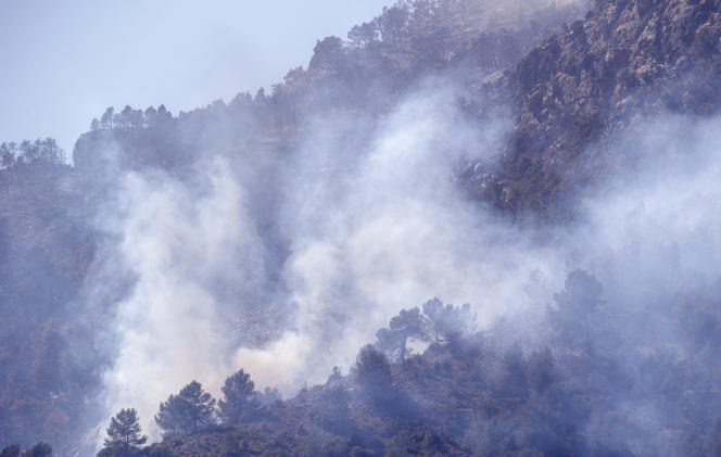 A forest fire in Montanejos, Castellon de la Plana, Spain, Sunday March 26, 2023. 