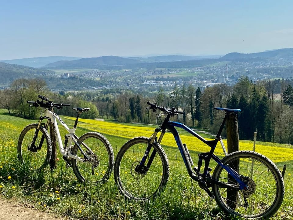Two mountain bikes in front of a meadow with hills in the background