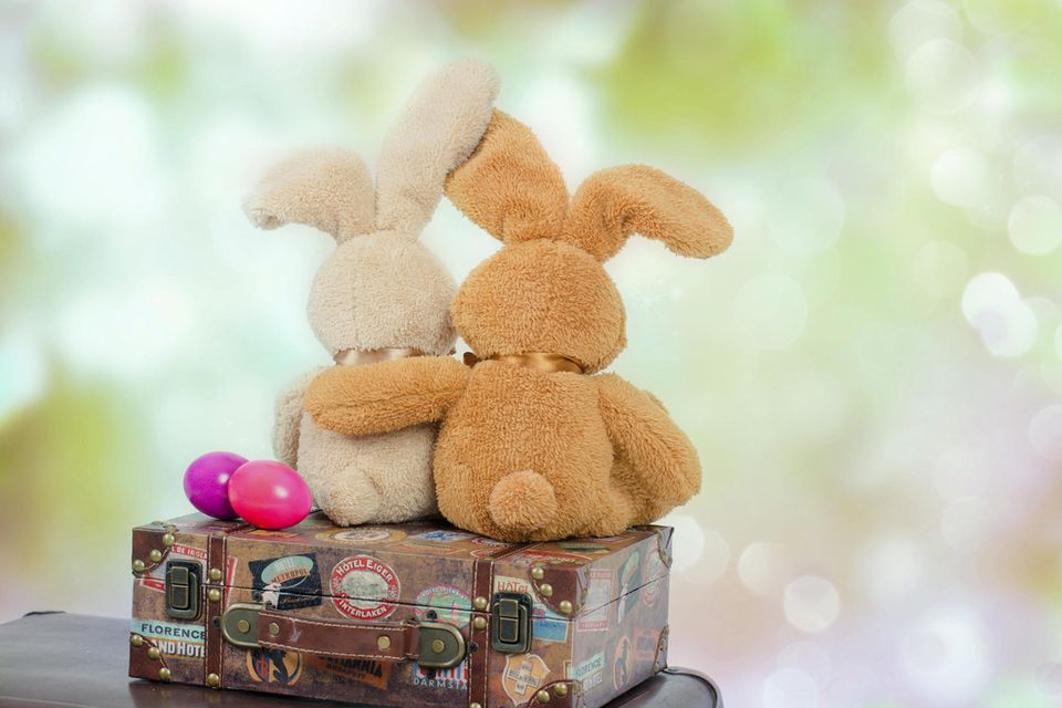 Easter greetings: Two teddy rabbits hug each other while sitting on a suitcase