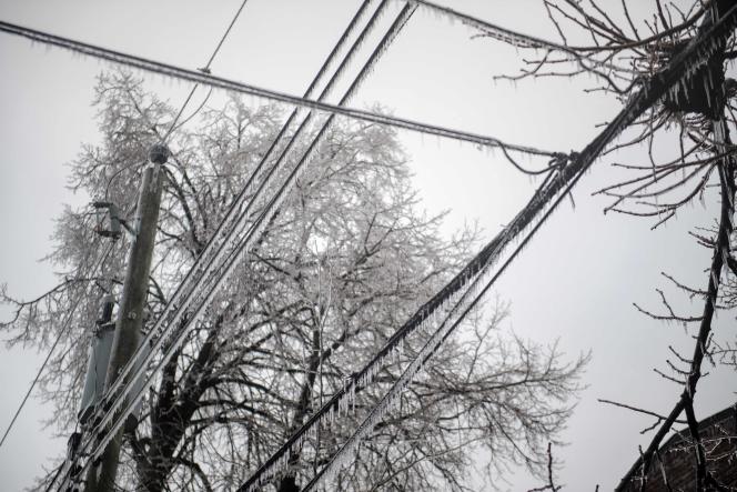 Tree branches and frozen power lines, in Monkland, Montreal district, April 5, 2023.