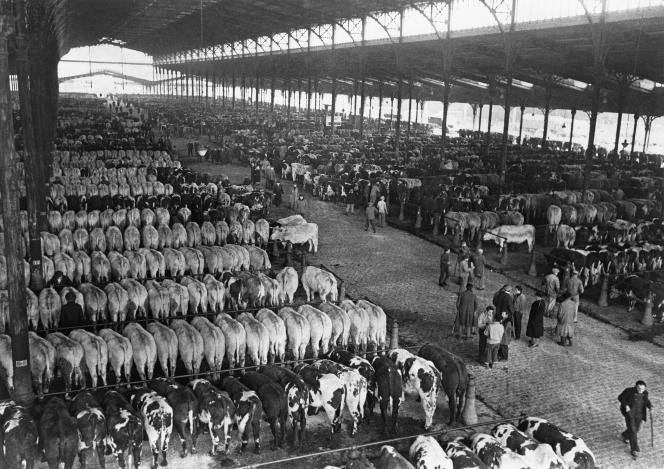 The cattle hall of the cattle market, at La Villette, in Paris, in 1960.