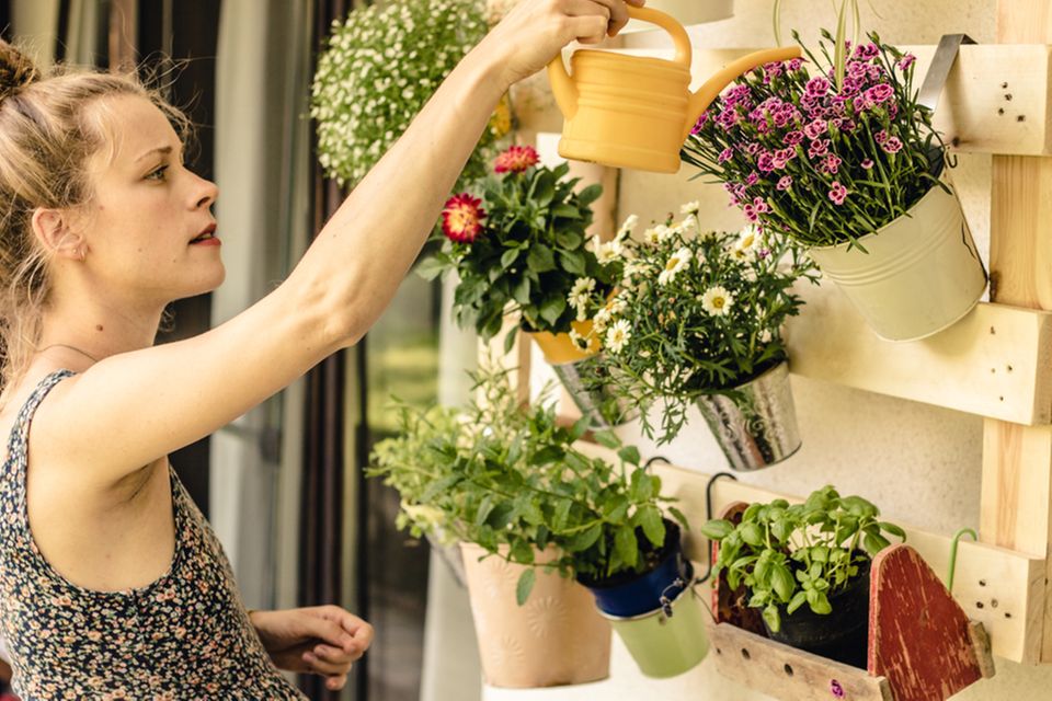 Make balcony: woman pours flowers