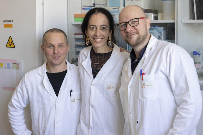 Doctor Raphaël Rodriguez on the left, Doctor Stéphanie Solier and Doctor Sebastian Müller, from the “Chemical Biology” team, at the Institut Curie, in 2023.