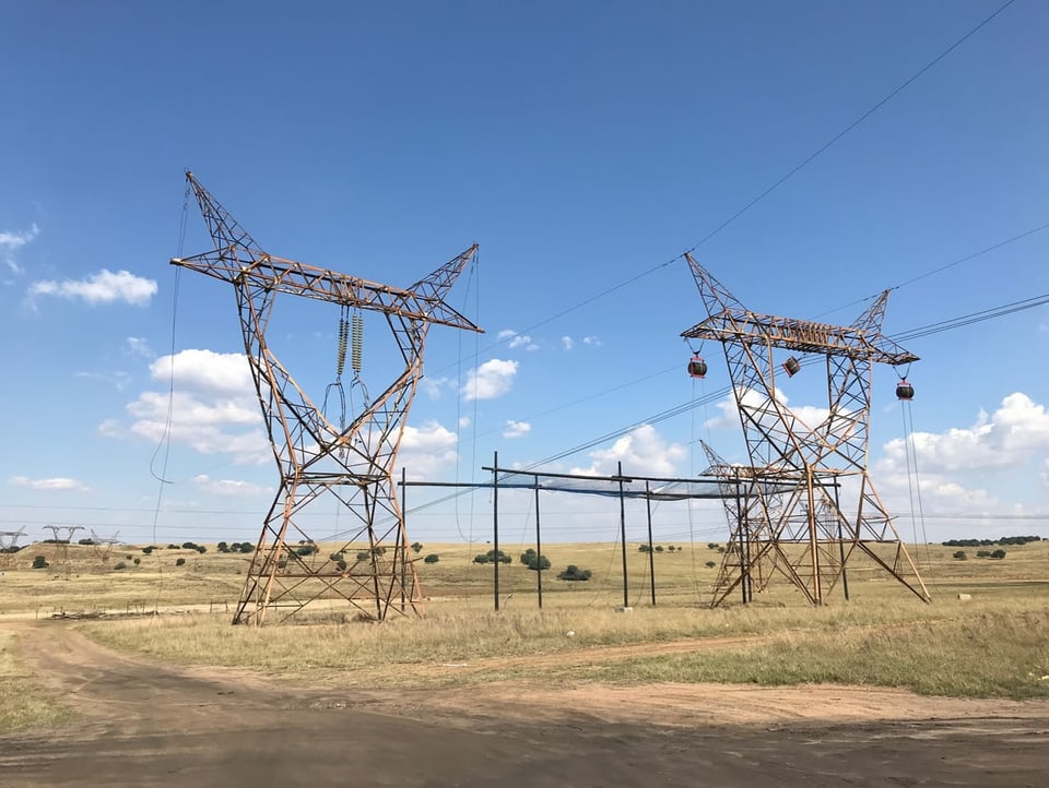 Power poles in a sparsely overgrown area in South Africa.