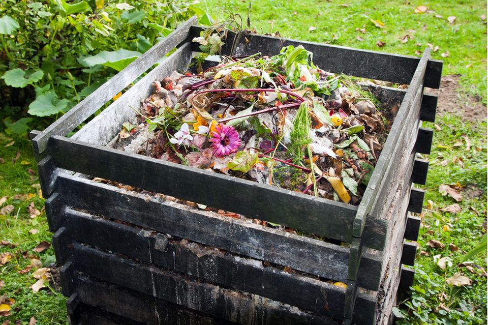 Sustainable garden: compost heap