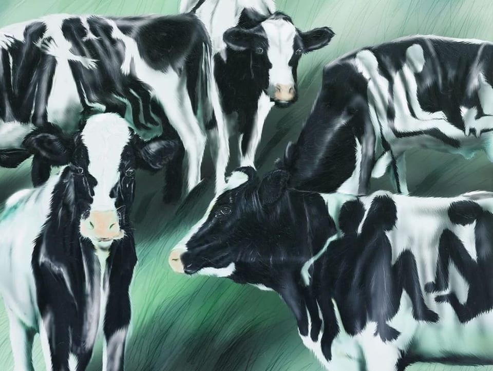 Four cows whose black spots represent people.