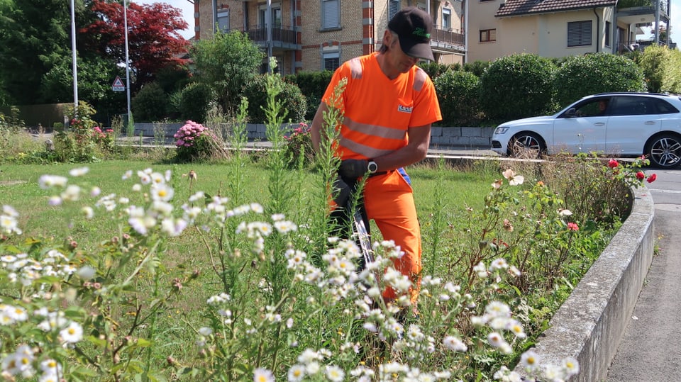 A photo in orange work clothes tears up plants in a park and puts them in a black sack.