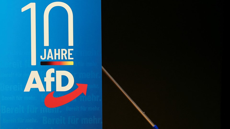 A poster: 10 years AfD