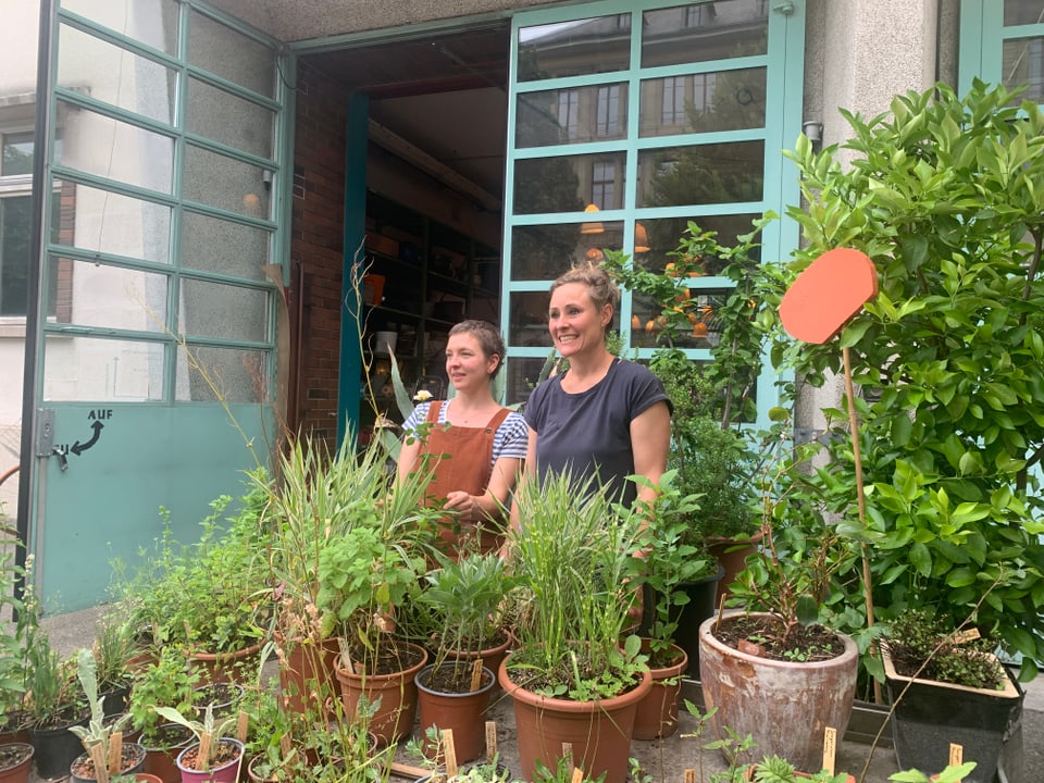 The two founders stand in the midst of their plants.