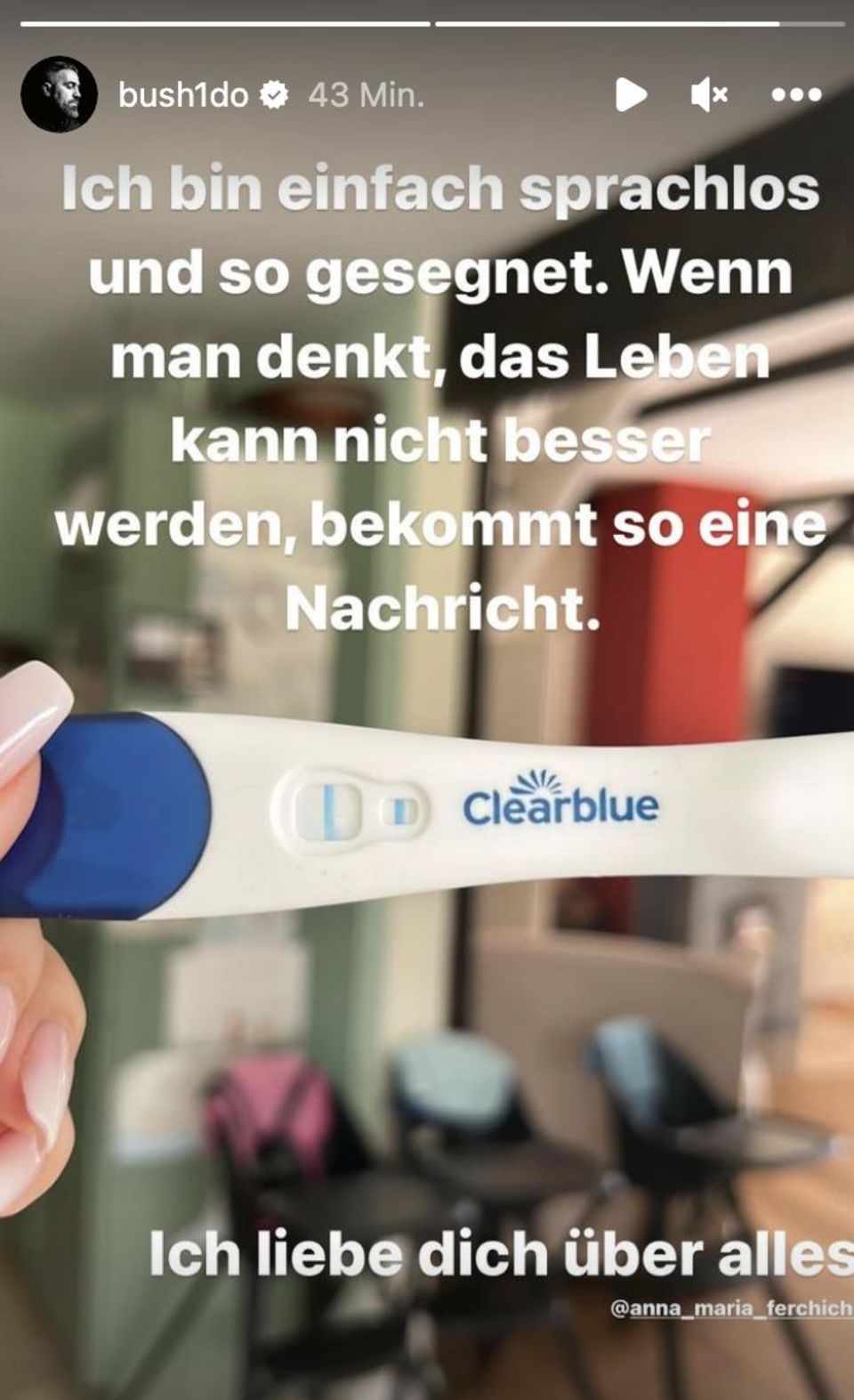 In his Instagram story, Bushido is happy about his wife's positive pregnancy test. 