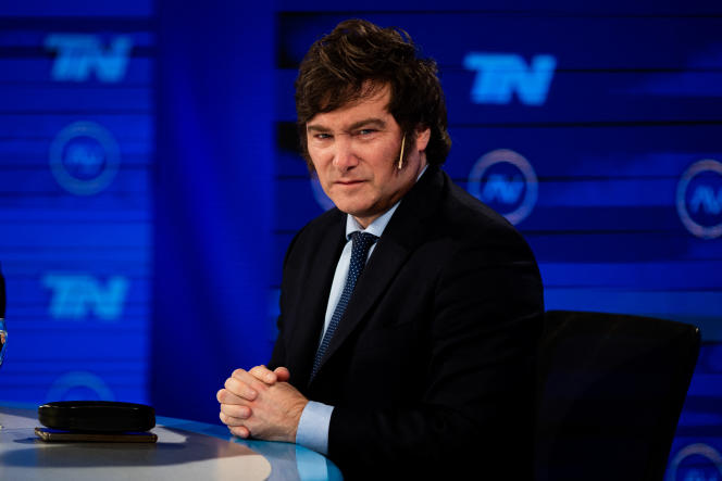 Javier Milei, candidate of La Libertad Avanza, during an interview, in Buenos Aires, on June 14, 2023.