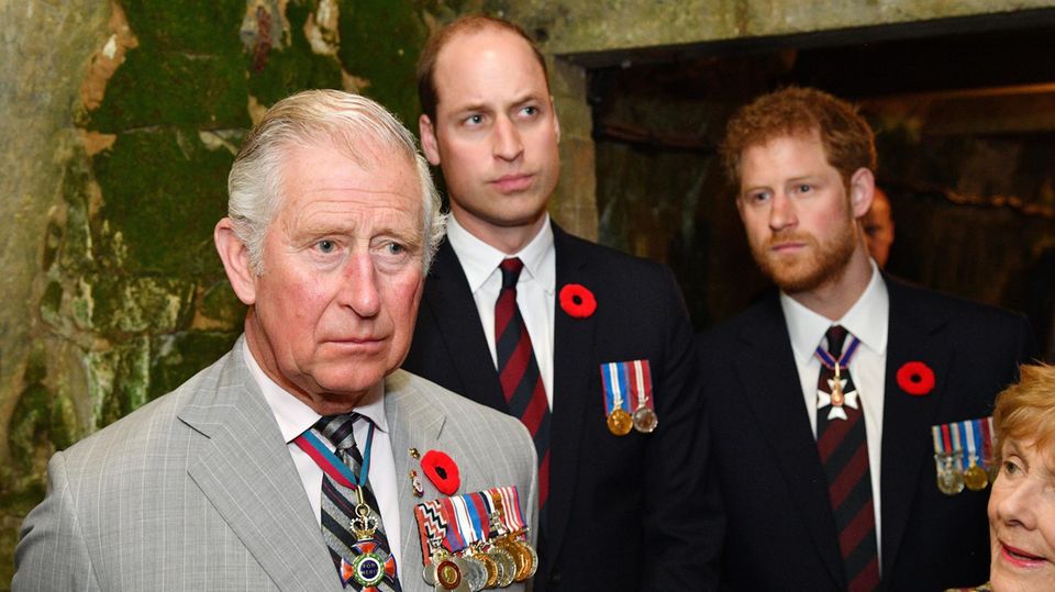 King Charles + Prince William + Prince Harry