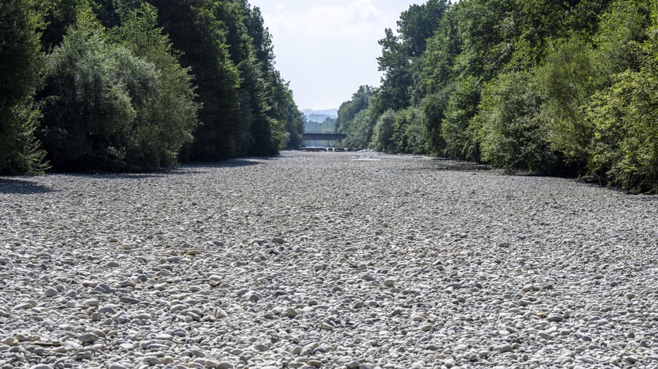 Dry river bed of the Emme near Aefligen near Kirchberg (07/11/23)