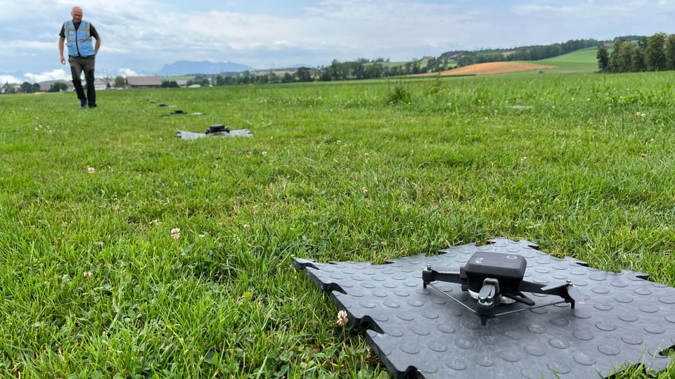 A drone on a green meadow.
