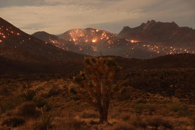 Scattered fires in the Mojave National Preserve, July 30, 2023.