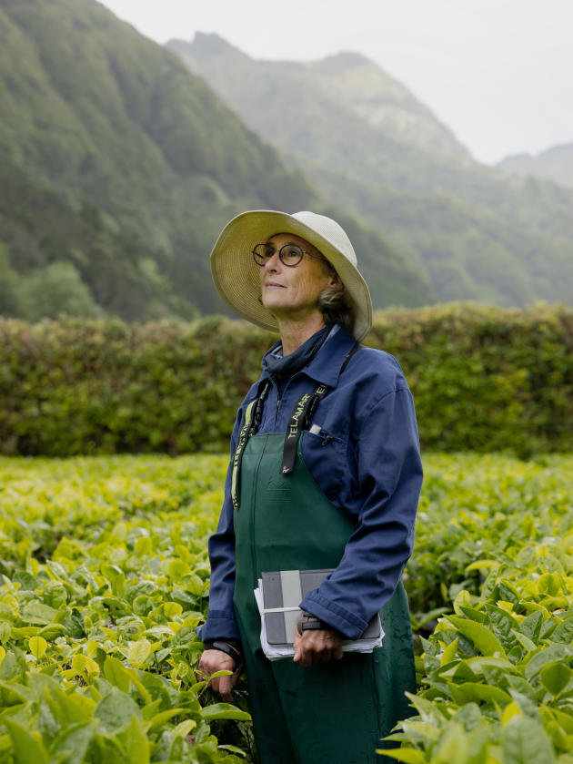 Clara Rego, among tea plants located near the Sete Cidades volcano, in May 2023.
