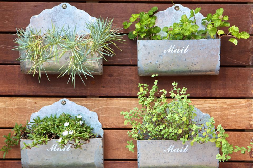 Vertical garden on the balcony: old mailboxes with plants