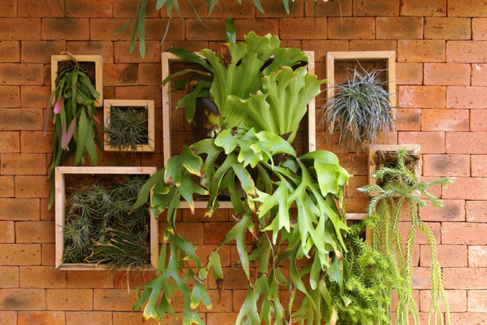 Vertical garden on the balcony: wooden frames on a wall filled with flowers