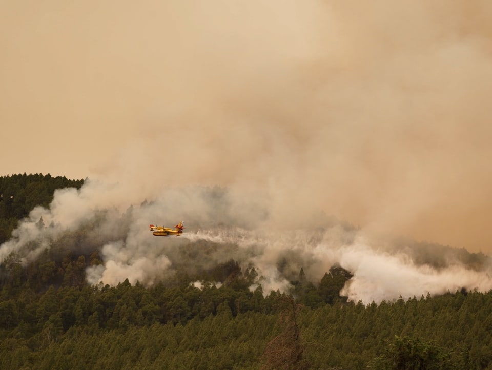 Airplane sprays water over burning forest