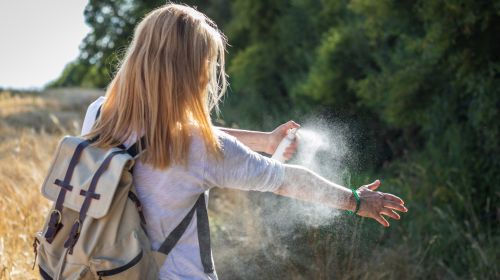 Mosquito repellent: The best tips against mosquitoes