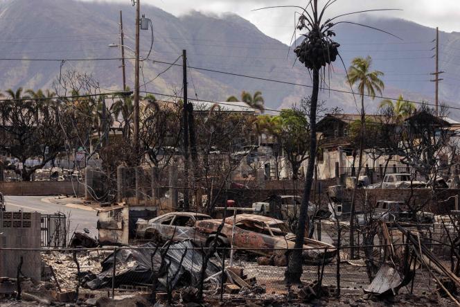 Scene of desolation after the fires which destroyed, on August 8 and 9, the seaside town of Lahaina, Hawaii (United States), August 16, 2023.    
