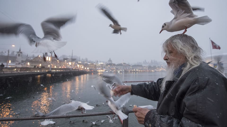 Man feeds pigeons.  An animal sits on his head.