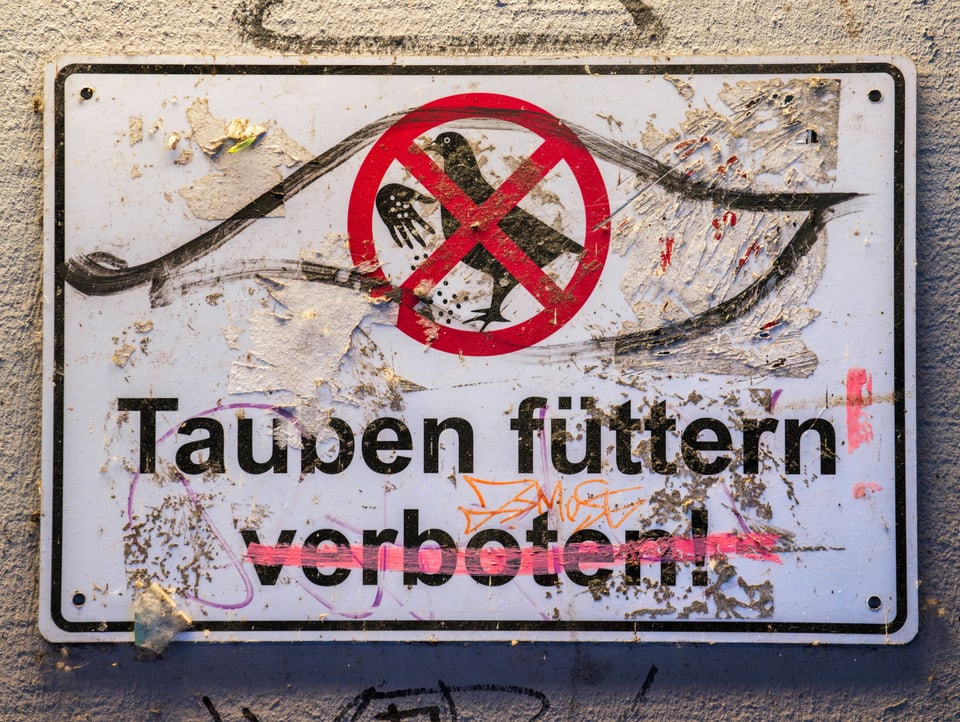 Smeared sign with the inscription: “Feeding pigeons is forbidden!”