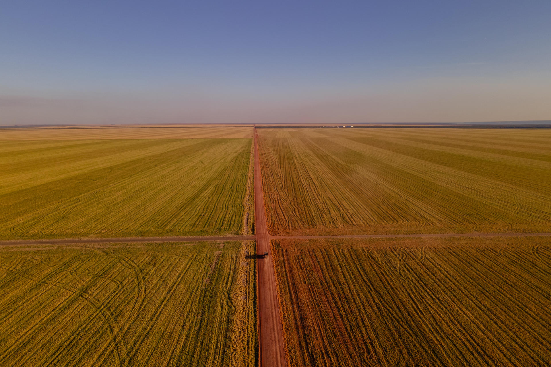 Huge fields in which mainly soya and corn are grown.  In Uruçui, State of Piaui (Brazil), August 15, 2023.