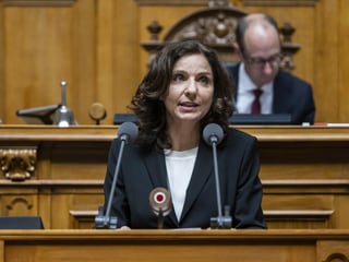 Gabriela Suter gives a speech in parliament