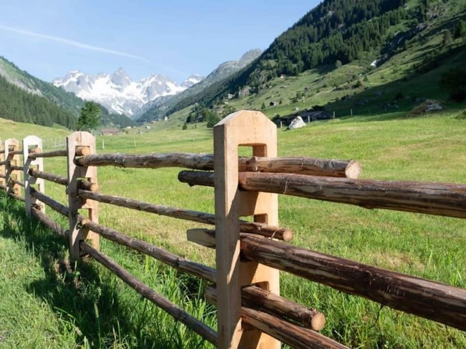 Light wooden fences on a meadow.