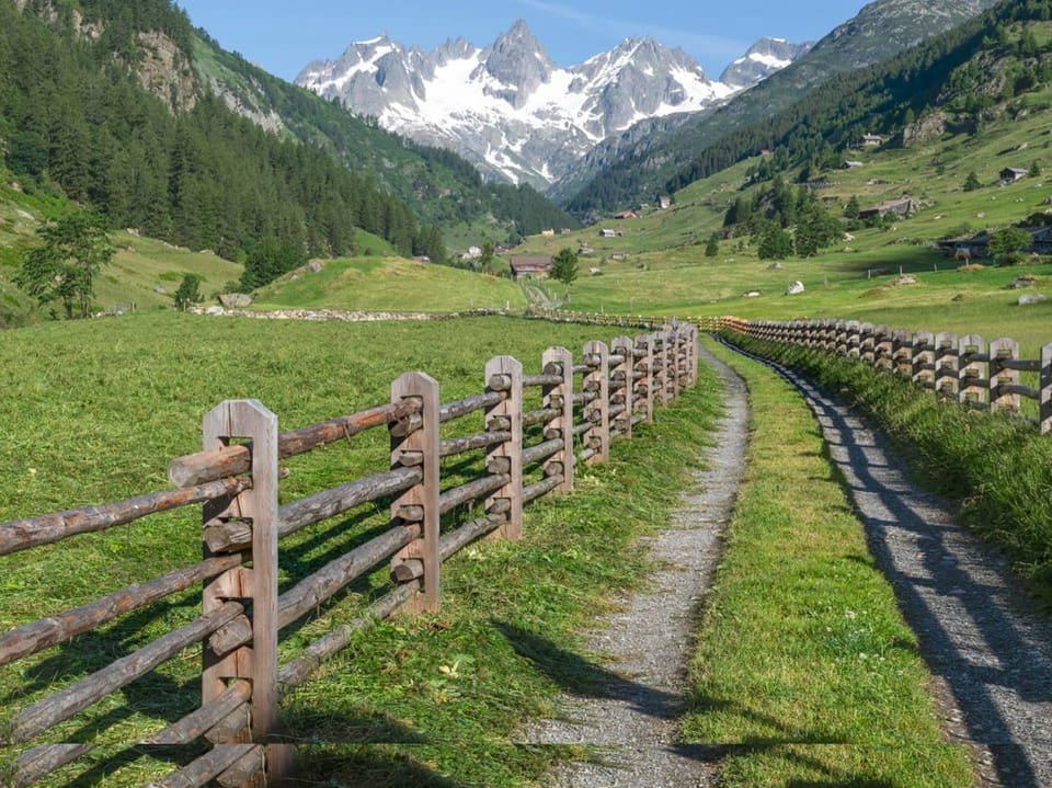 Path with mountains in the background
