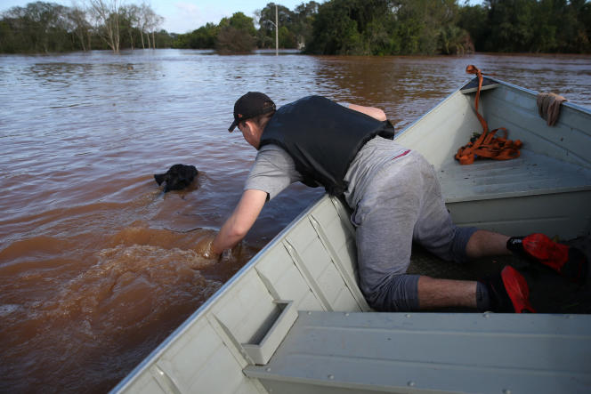 Lucas Atkinson, a rancher, retrieves a calf from a flooded area in Venâncio Aires, Rio Grande do Sul state, September 5, 2023. 