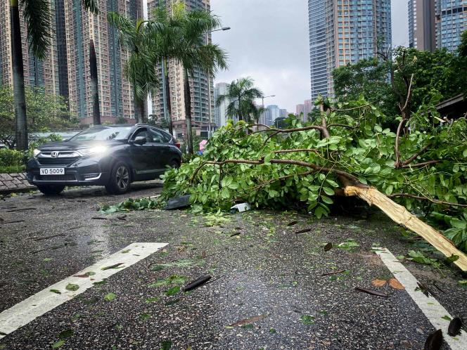 A car drives around an uprooted tree that fell on the road after Typhoon Saola hit Hong Kong on September 2, 2023.