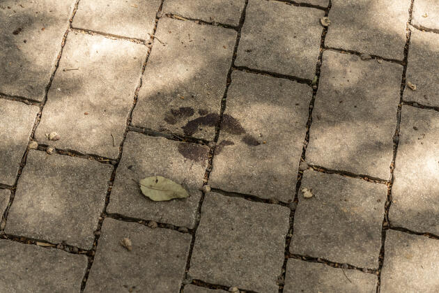 Imprint of a bloody foot on a sidewalk in kibbutz Be'eri, October 13, 2023. More than a hundred residents were killed in the kibbutz at dawn on October 7 by Hamas fighters.