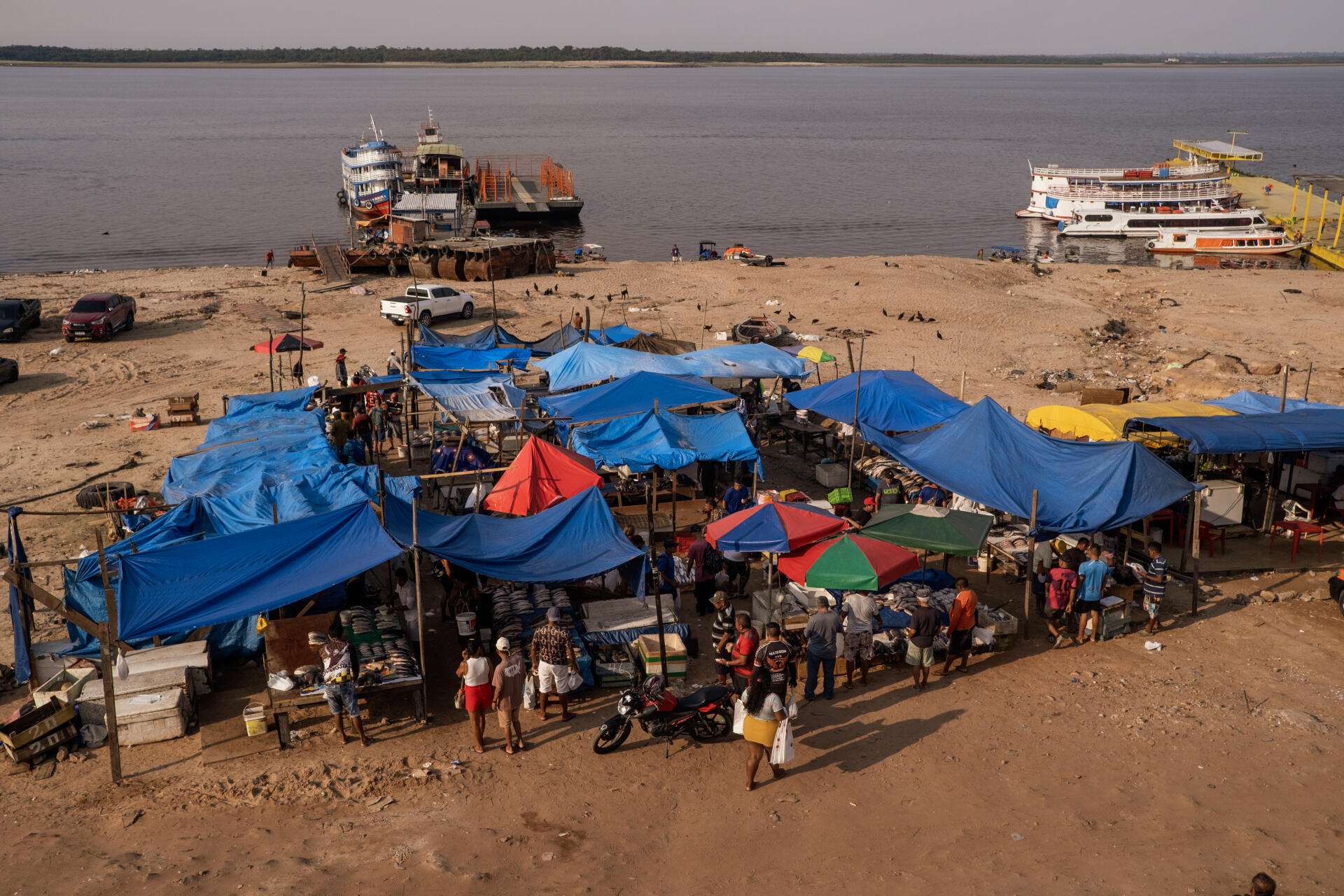 An informal fish market has emerged on the banks of the Rio Negro, in Manaus, Brazil, on October 21, 2023.