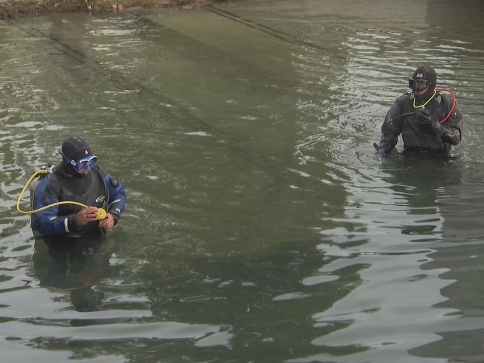 Two divers dressed in black in the water.